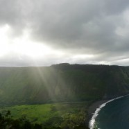 癒しのハワイ島大自然巡りツアー・リポート