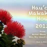 あけましておめでとうございます from ハワイ島ヒロ