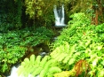 akaka_02