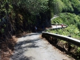 waipio_bottom_00