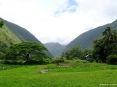 waipio_bottom_03