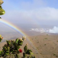 2012.7.9 ハワイ島火山・溶岩リポート