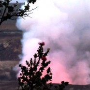 2012.7.2 ハワイ島火山・溶岩リポート