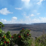 ハワイ島火山・溶岩リポート　2013.5.11