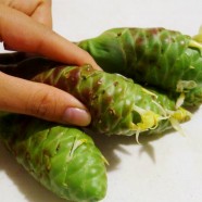 ハワイ島の植物でヘアケア