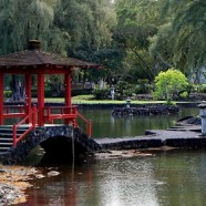 ハワイ島観光スポット・リリウオカラニ公園