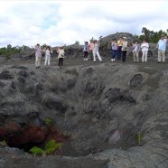 ハワイ島観光ツアー『ザ・朝火山ツアー』リポート　11月6日