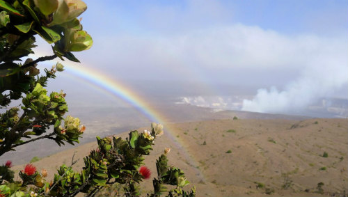 2012 7 09 ハワイ島キラウエア火山溶岩リポート1（by ヨッシュ　ハワイ島マイカイ・オハナ・ツアー）