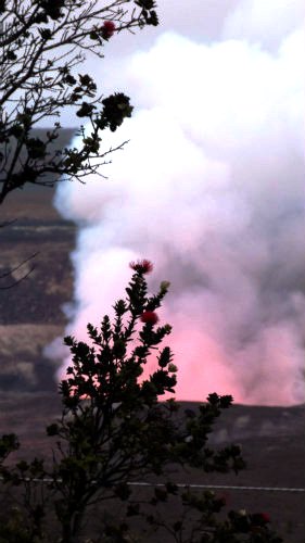 ハワイ島マイカイオハナツアー・ハワイ島・キラウエア火山・溶岩リポート2