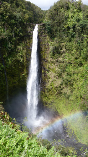 ハワイ島マイカイ・オハナ・ツアー・癒しのハワイ島大自然巡りツアー・お客様の声