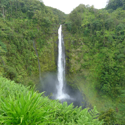 ハワイ島マイカイ・オハナ・ツアー・ハワイ島ツアー・リポート・癒しのハワイ島大自然巡りツアー