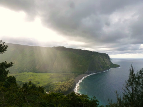 ハワイ島ツアー・お客様の声・癒しのハワイ島大自然巡りツアー（ハワイ島マイカイ・オハナ・ツアー）