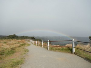 ハワイ島キラウエア・アドベンチャー・お客様の声（ハワイ島マイカイ・オハナ・ツアー）