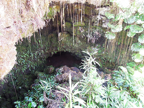 ハワイ島観光スポット『カウマナ洞窟』