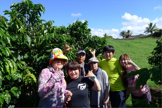 ハワイ島ツアー『ザ・朝火山ツアー』リポート　6月19日（ハワイ島マイカイオハナツアー）