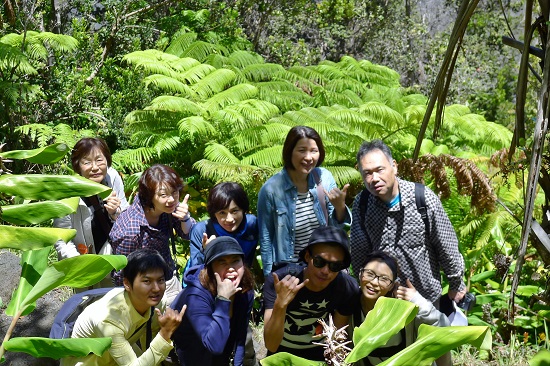 ハワイ島ツアーリポート『ザ・朝火山ツアー』6月14日（ハワイ島マイカイオハナツアー）