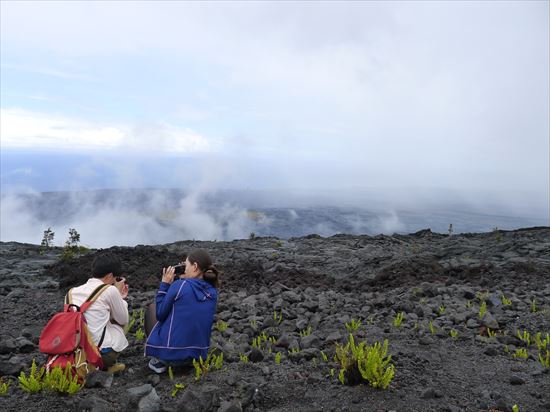 ハワイ島ツアー『ザ・朝火山ツアー』リポート　7月15日（ハワイ島マイカイオハナツアー）