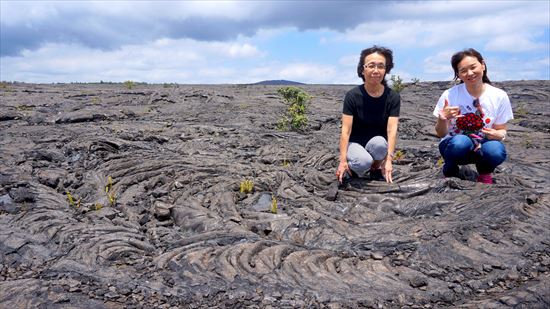 ハワイ島観光ツアー『ザ・朝火山ツアー』リポート　9月17日（ハワイ島マイカイオハナツアー）