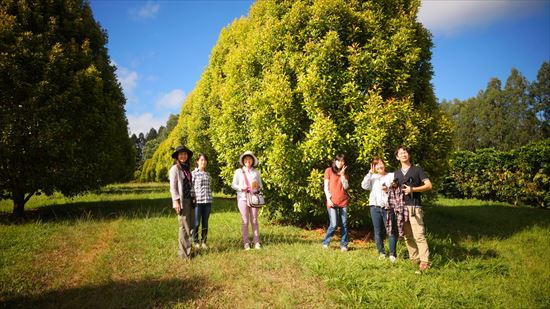 ハワイ島観光ツアー『ザ・朝火山ツアー』リポート　9月22日（ハワイ島マイカイオハナツアー）