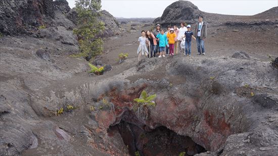 ハワイ島観光ツアー『ザ・朝火山ツアー』リポート　10月12日（ハワイ島マイカイオハナツアー）