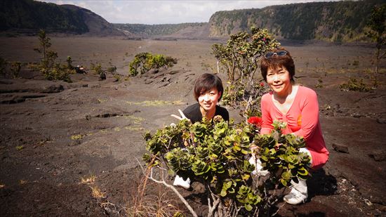 ハワイ島観光ツアー『ザ・朝火山ツアー』リポート　11月14日（ハワイ島マイカイオハナツアー）004