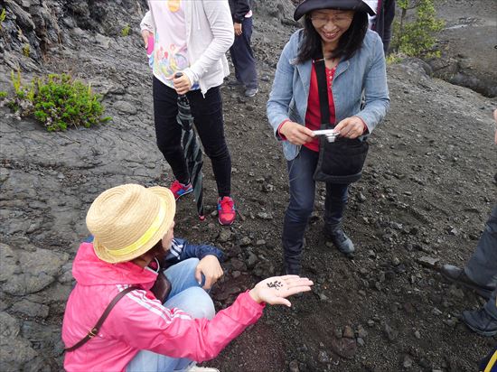 ハワイ島観光ツアー『朝火山ツアー』リポート　10月29日（ハワイ島マイカイオハナツアー）005