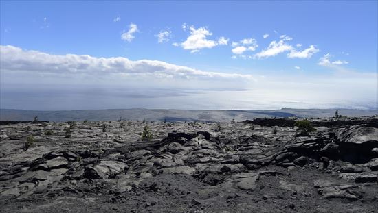 ハワイ島観光ツアー『ザ・朝火山ツアー』リポート　12月13日(ハワイ島マイカイオハナツアー)007