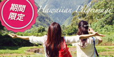 ハワイアンの聖地 ワイピオ渓谷とヒイラヴェの滝巡り